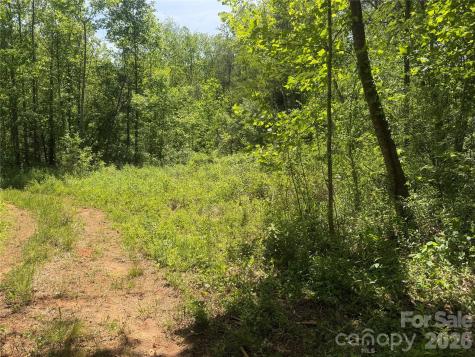 1411 Cedar Creek Road Lake Lure NC 28746