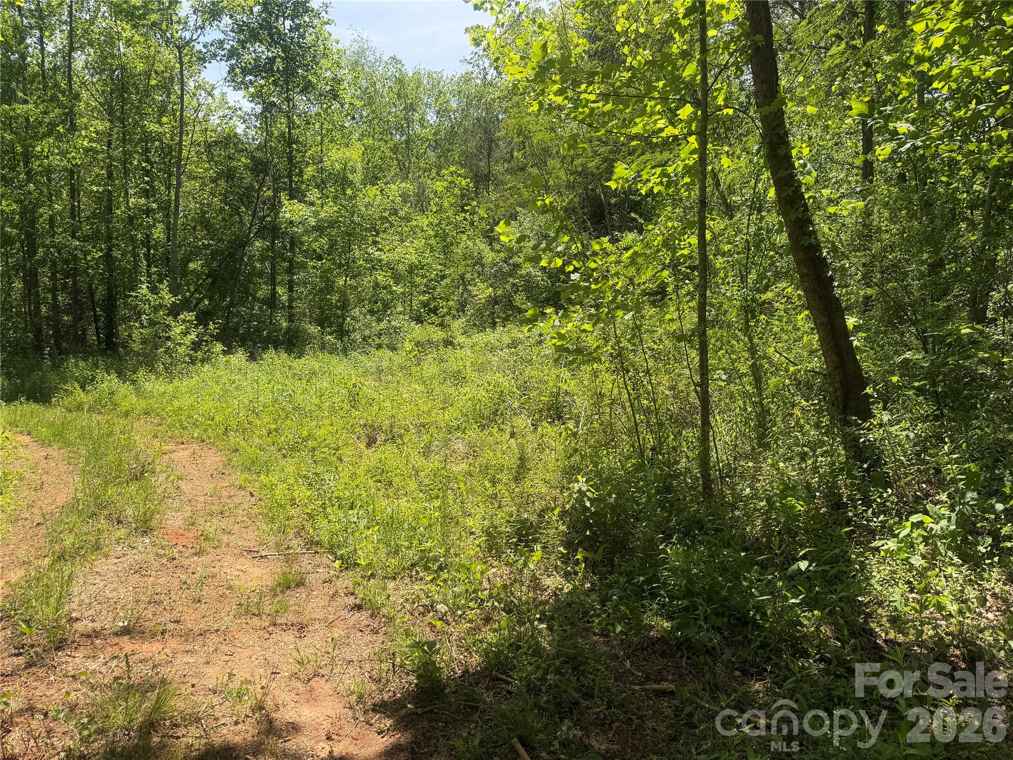 1411 Cedar Creek Road Lake Lure NC 28746