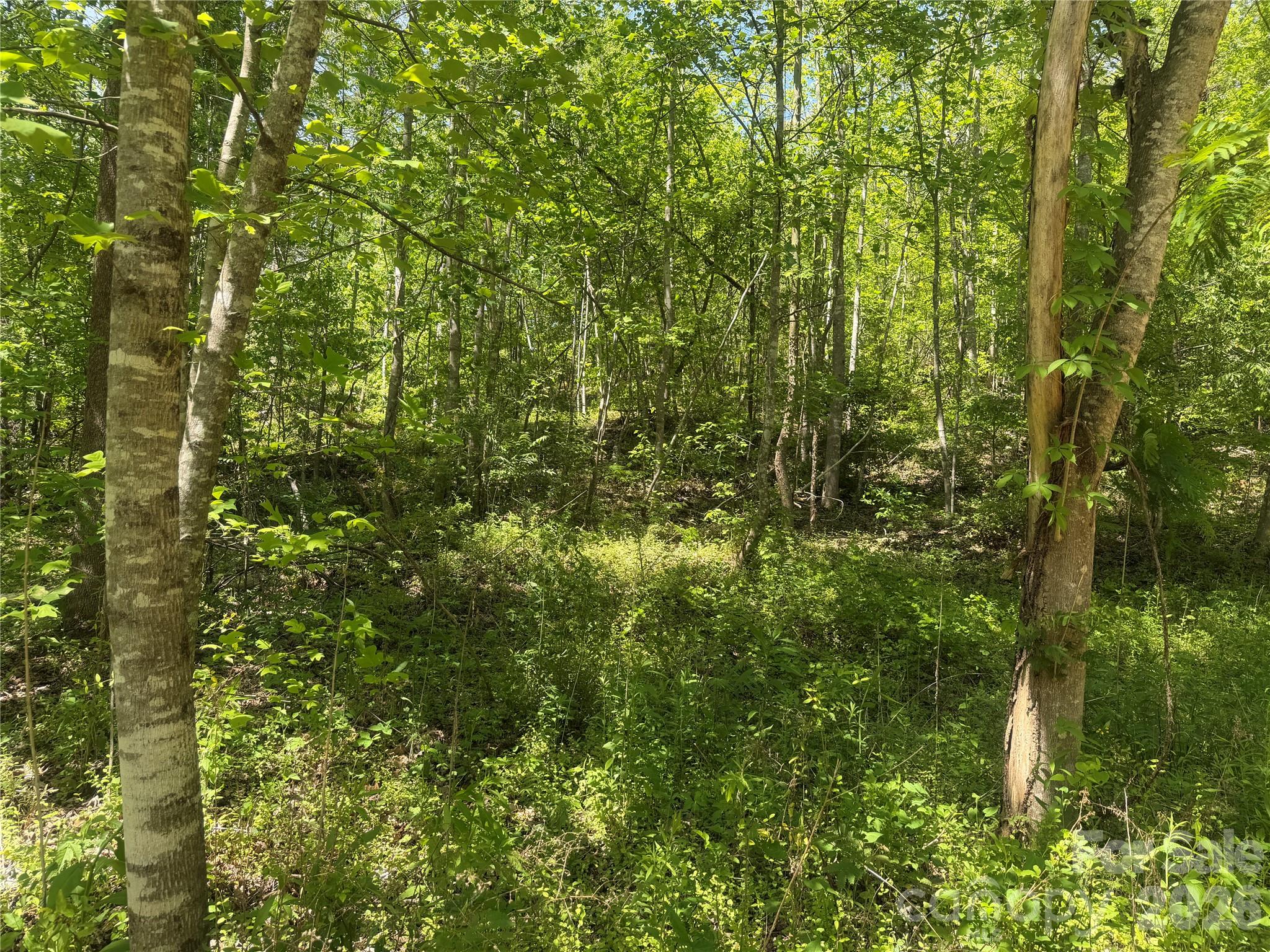 1411 Cedar Creek Road Lake Lure NC 28746