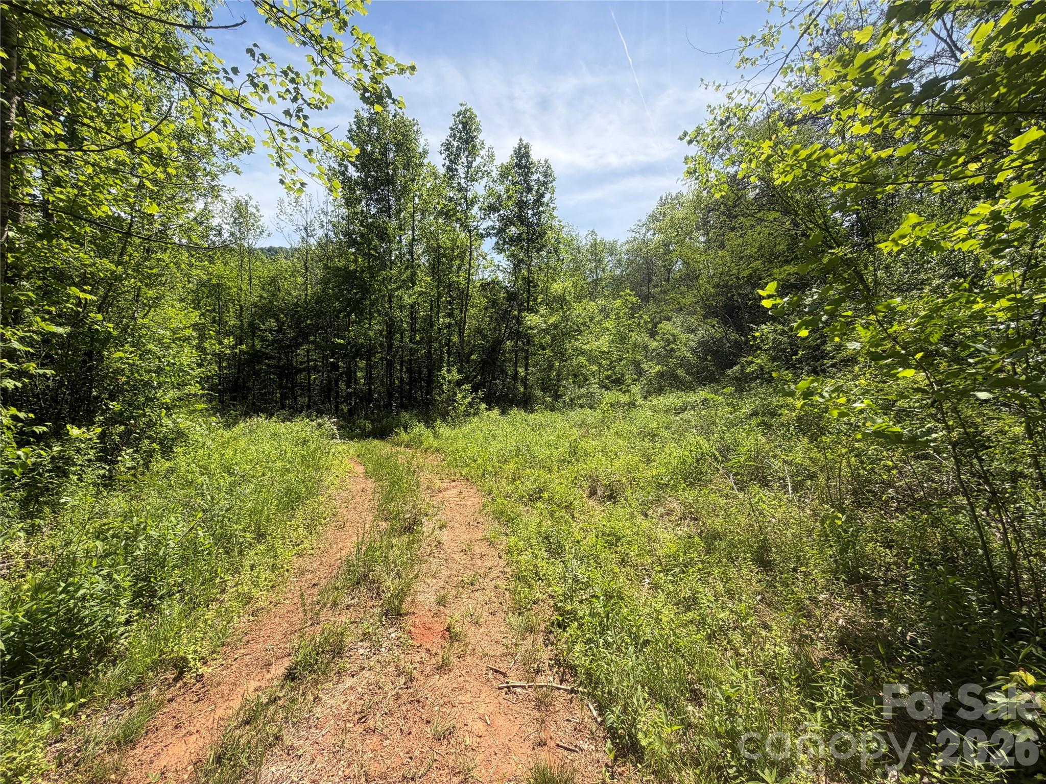 1411 Cedar Creek Road Lake Lure NC 28746