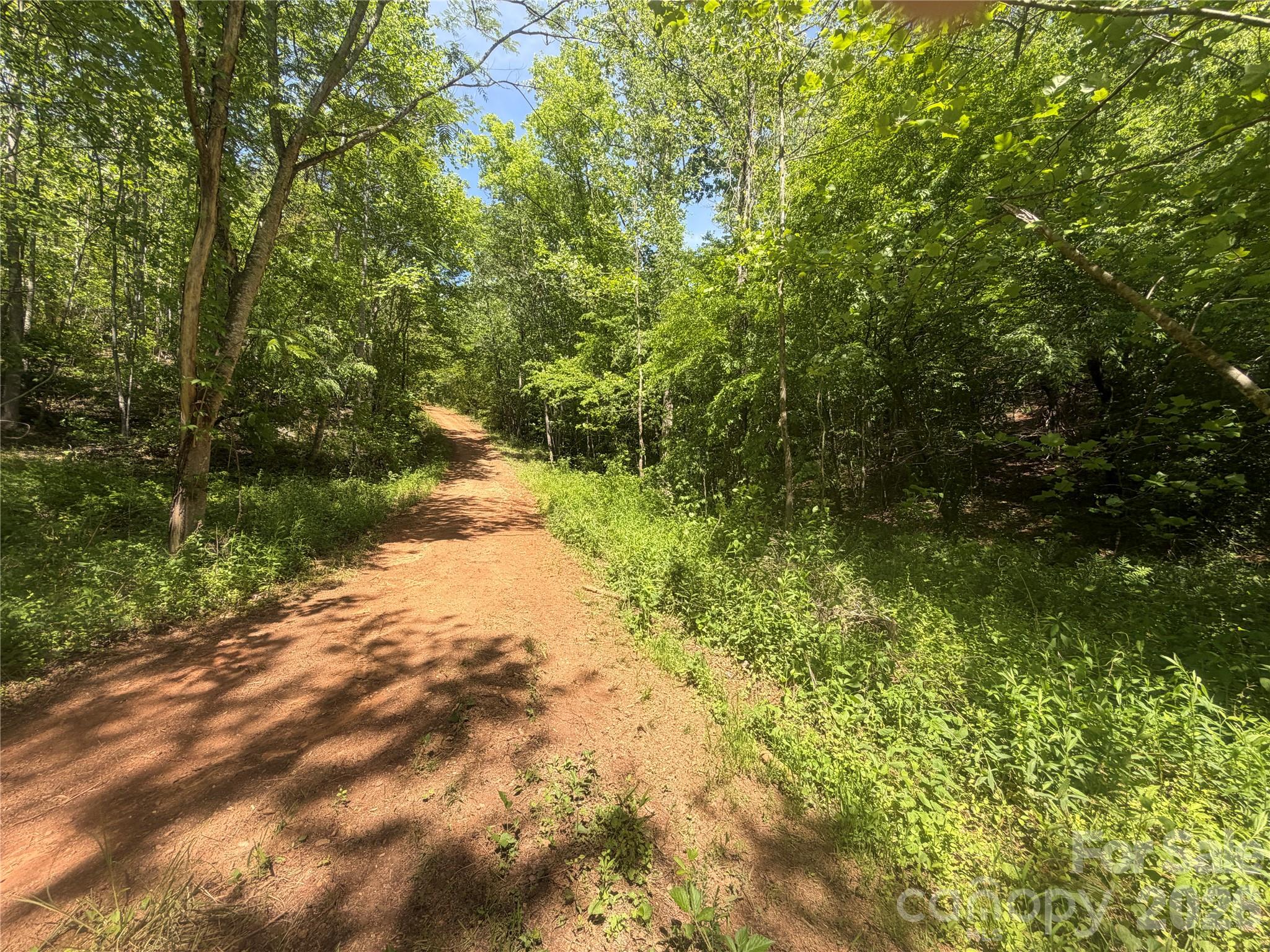 1411 Cedar Creek Road Lake Lure NC 28746