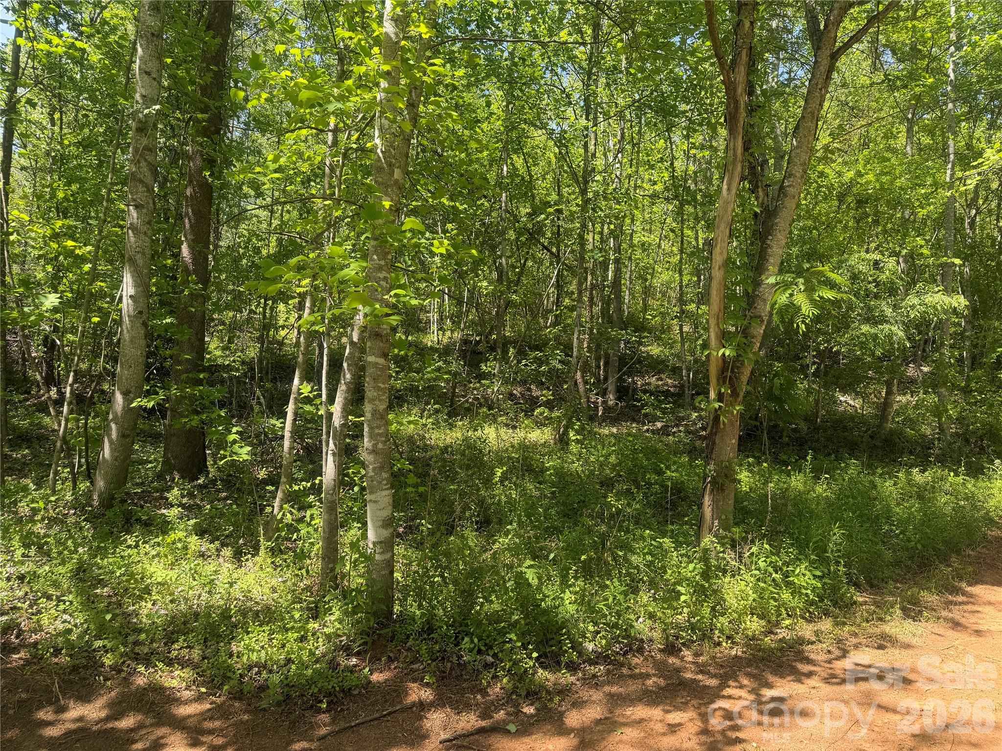 1411 Cedar Creek Road Lake Lure NC 28746