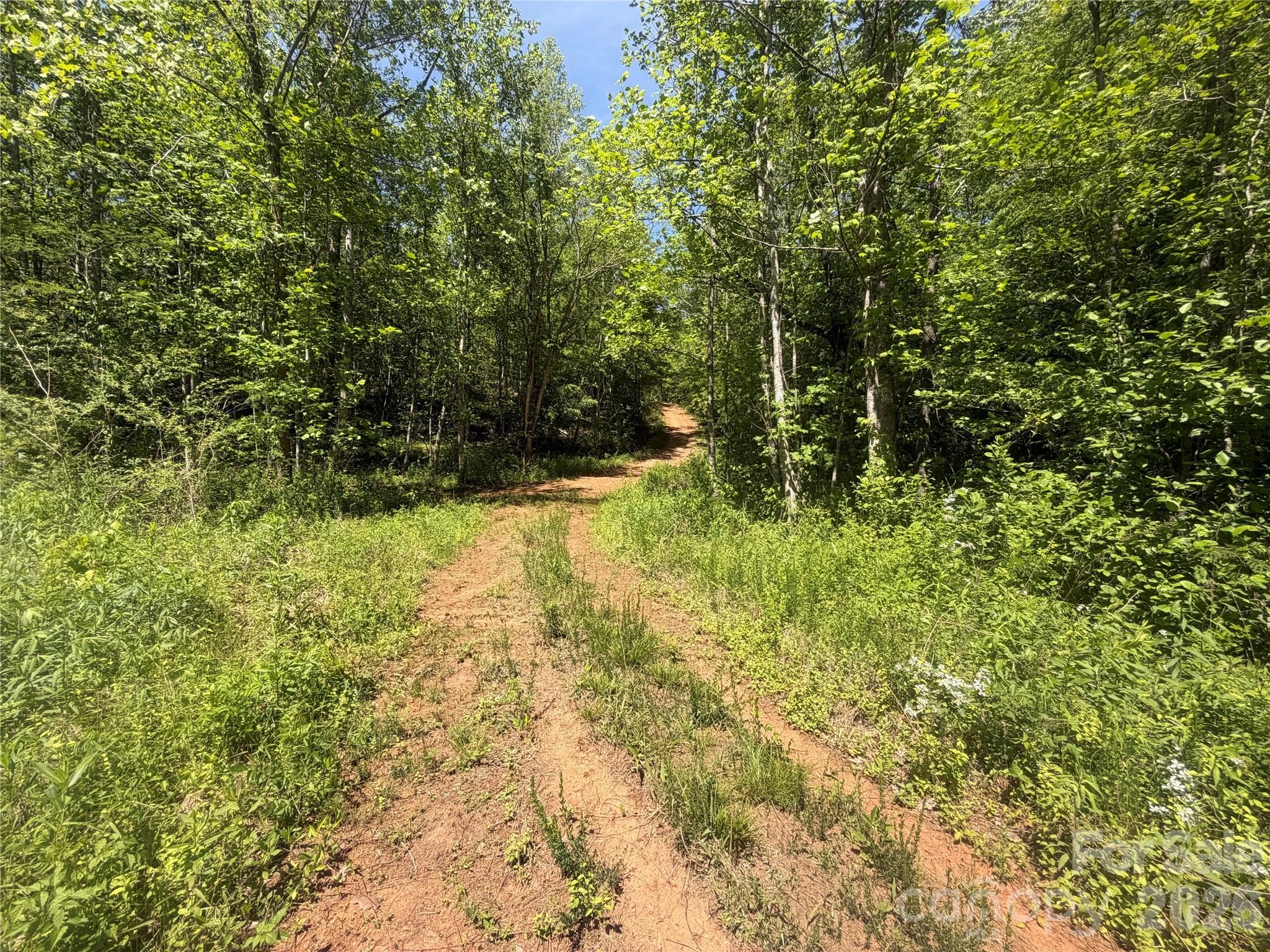 1411 Cedar Creek Road Lake Lure NC 28746