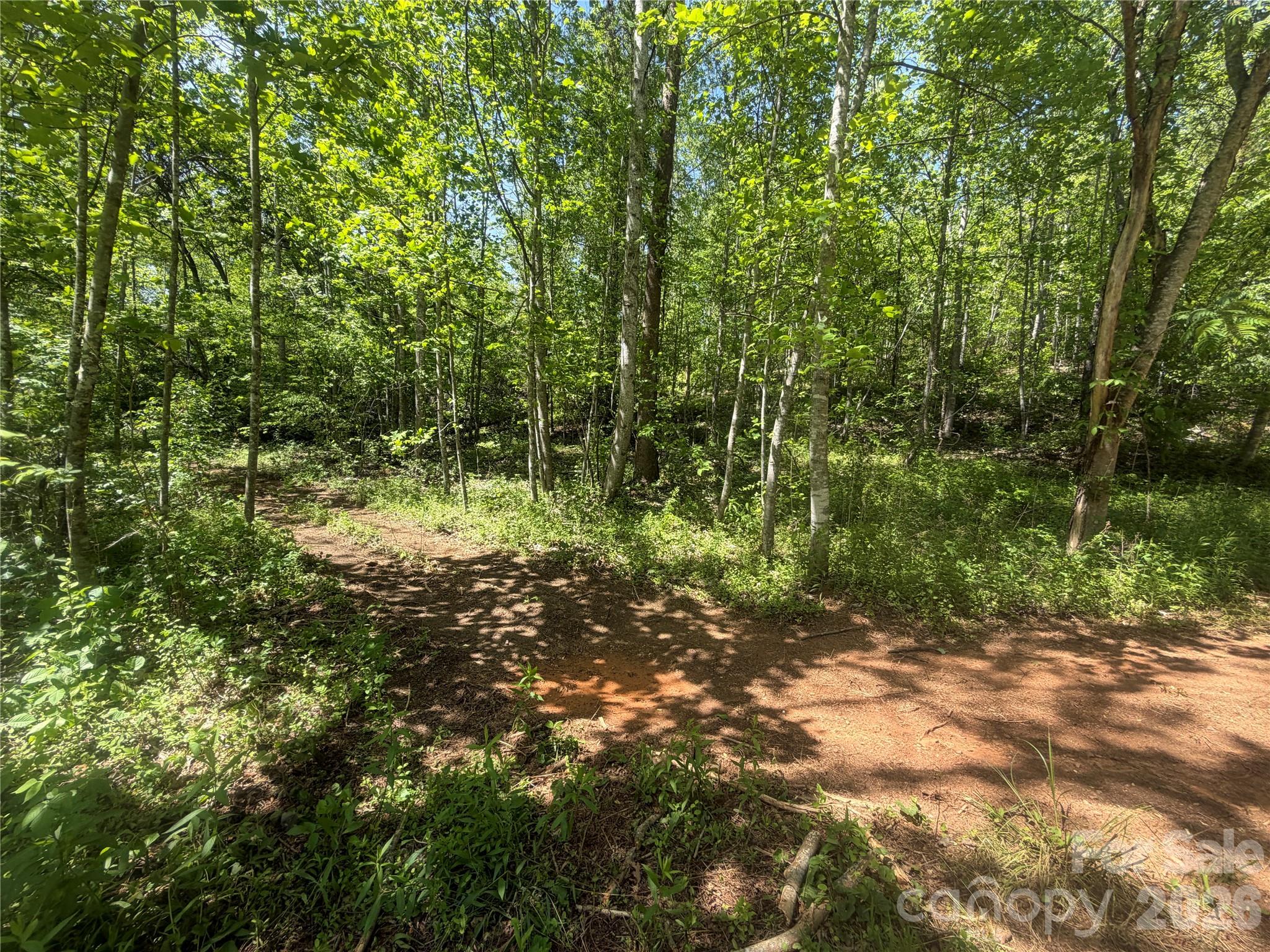 1411 Cedar Creek Road Lake Lure NC 28746