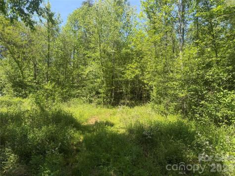 1411 Cedar Creek Road Lake Lure NC 28746