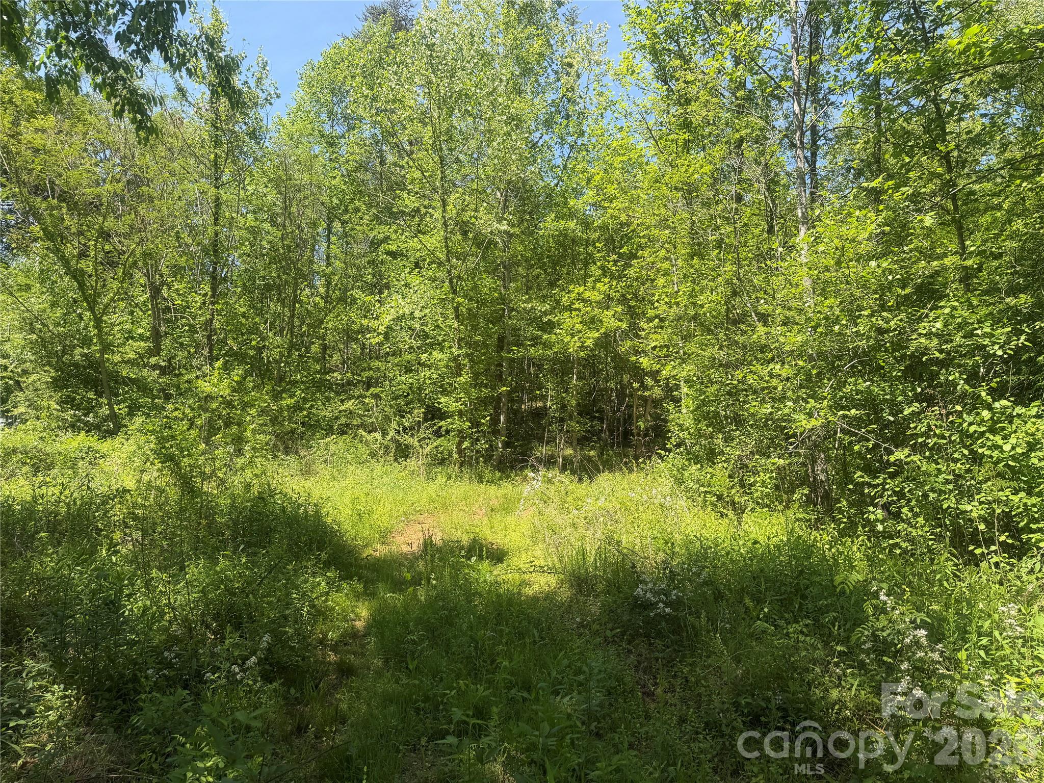 1411 Cedar Creek Road Lake Lure NC 28746