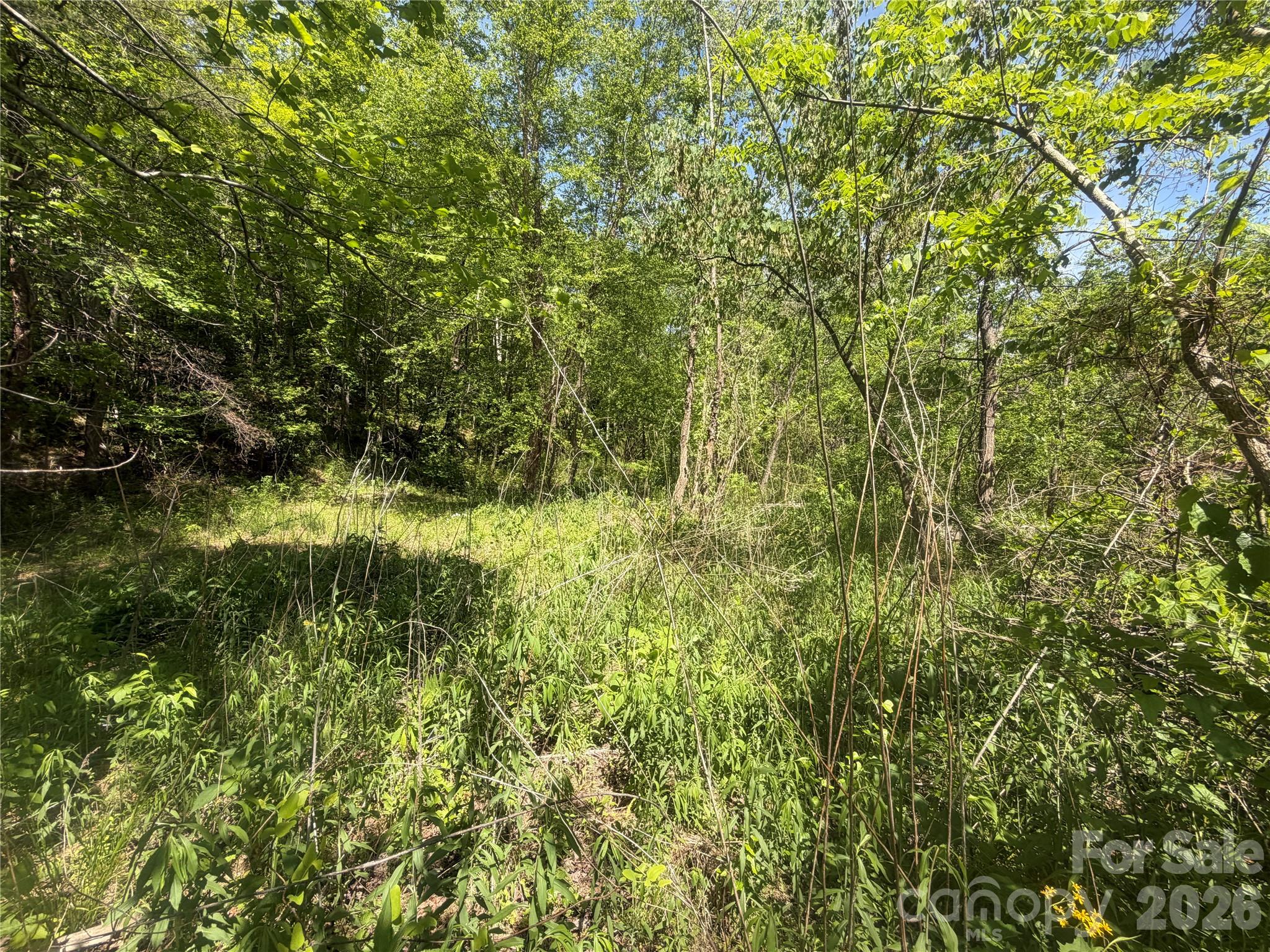1411 Cedar Creek Road Lake Lure NC 28746