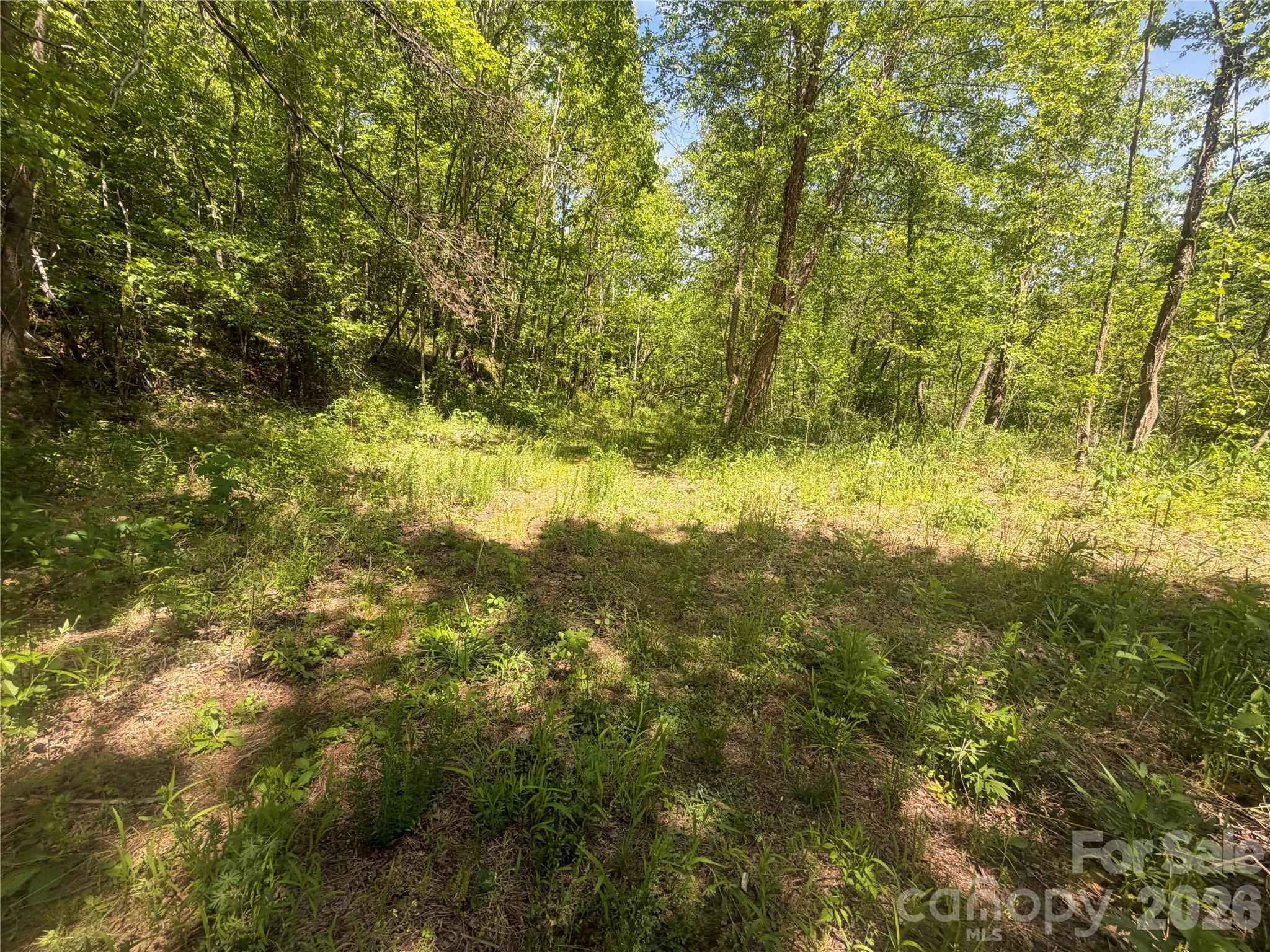 1411 Cedar Creek Road Lake Lure NC 28746