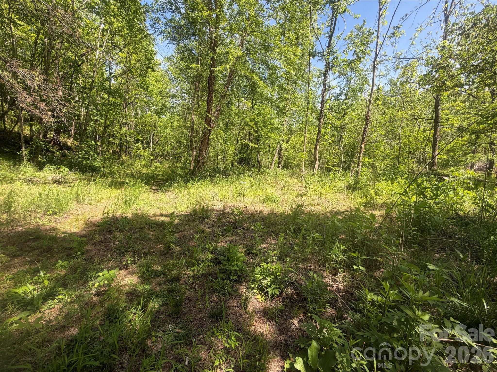 1411 Cedar Creek Road Lake Lure NC 28746
