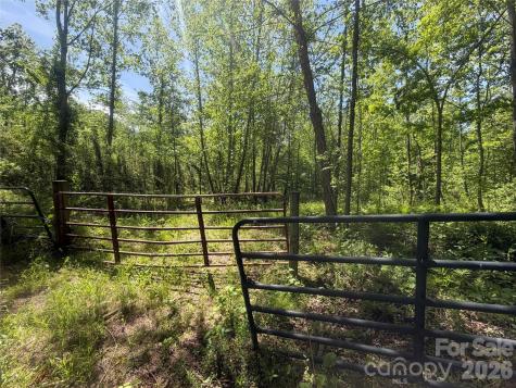 1411 Cedar Creek Road Lake Lure NC 28746