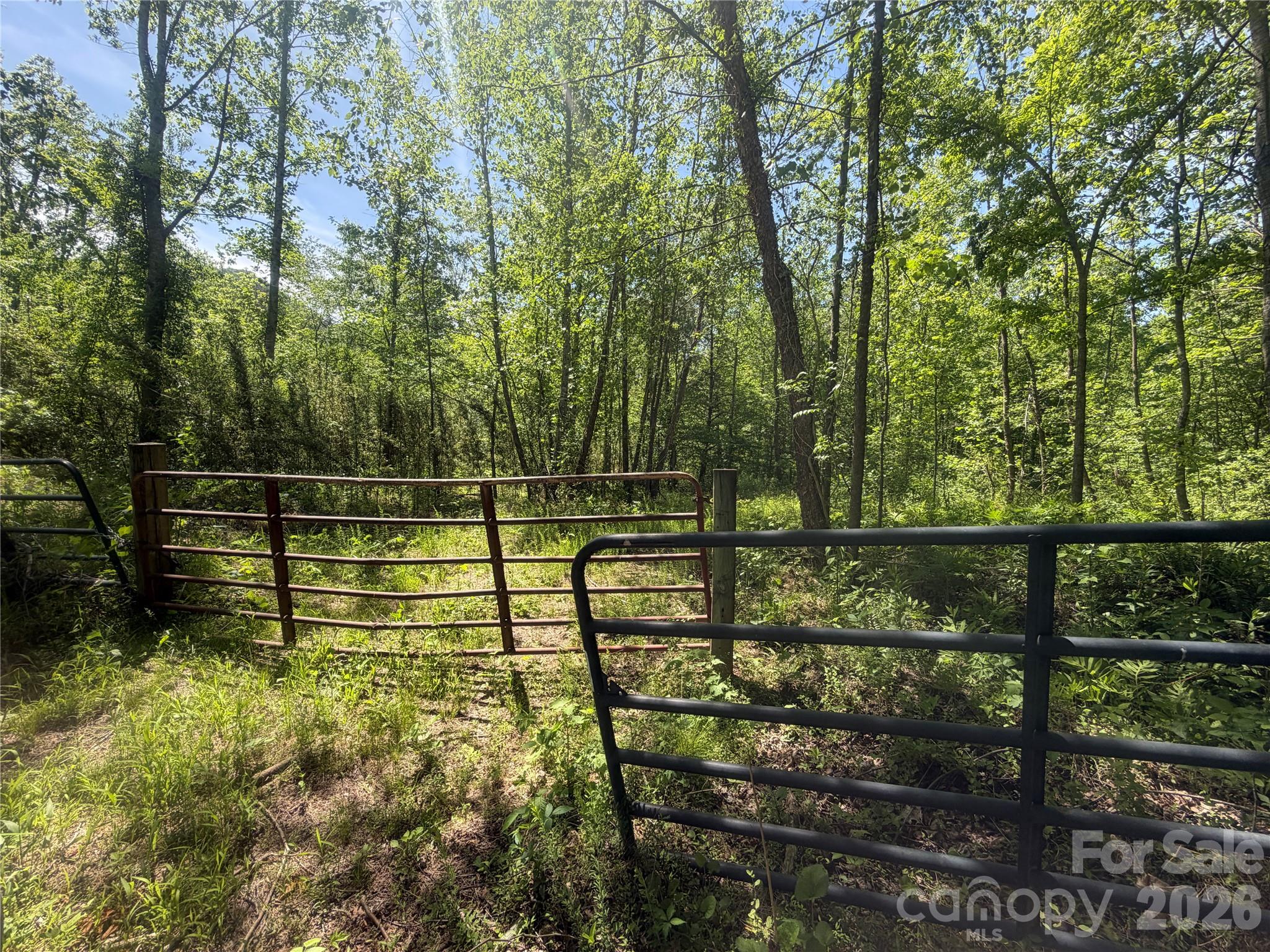 1411 Cedar Creek Road Lake Lure NC 28746