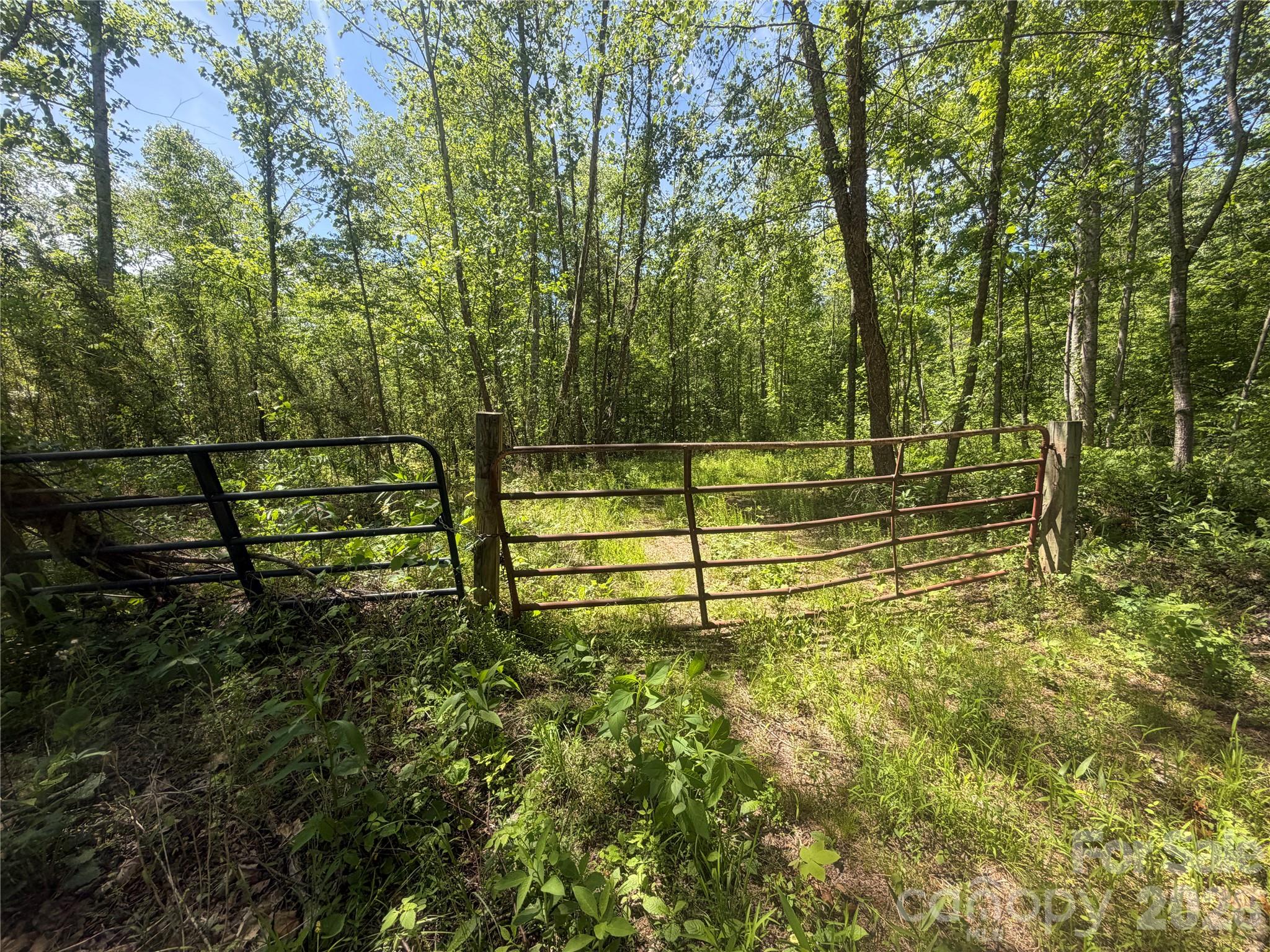 1411 Cedar Creek Road Lake Lure NC 28746