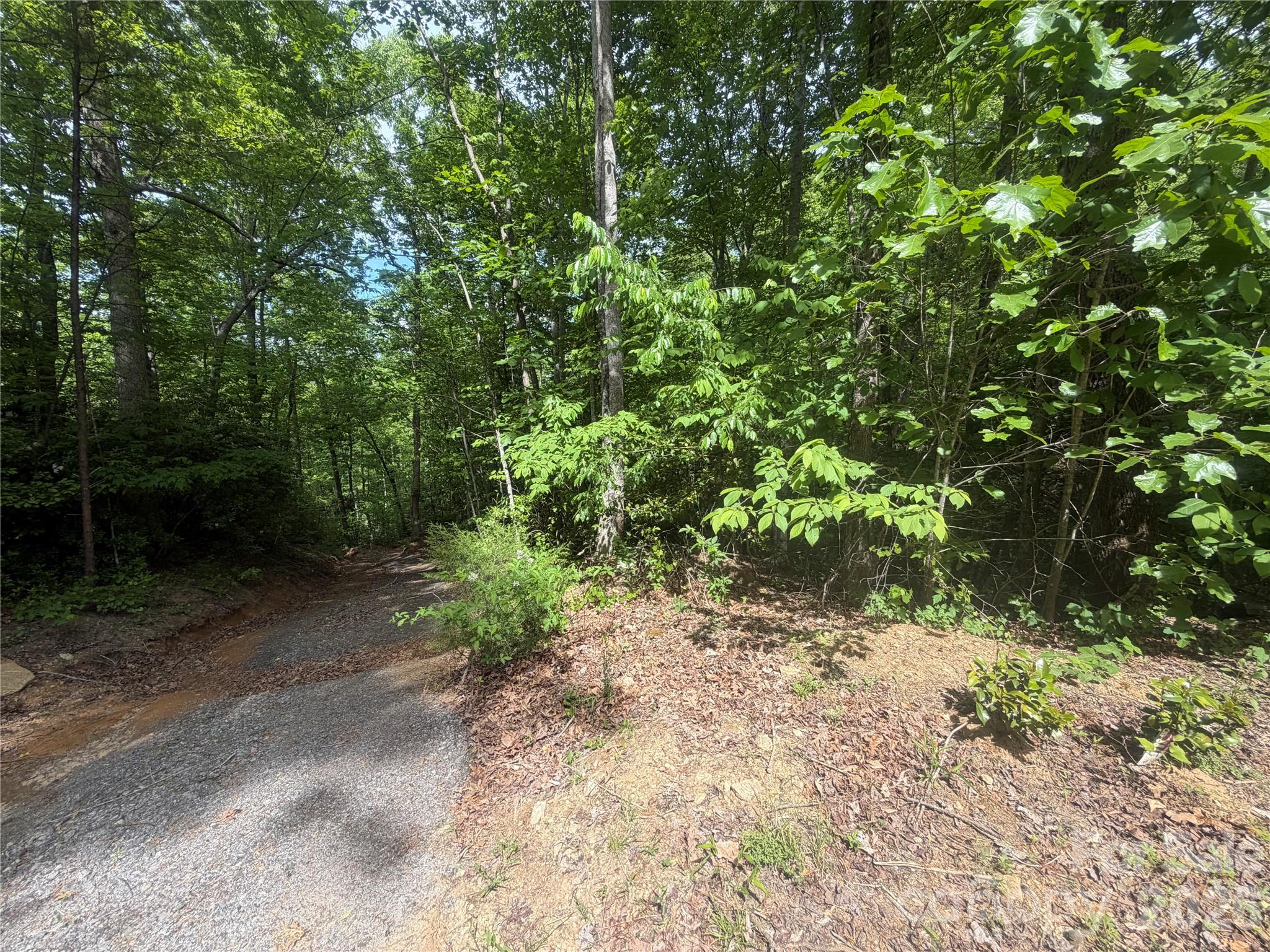 1411 Cedar Creek Road Lake Lure NC 28746