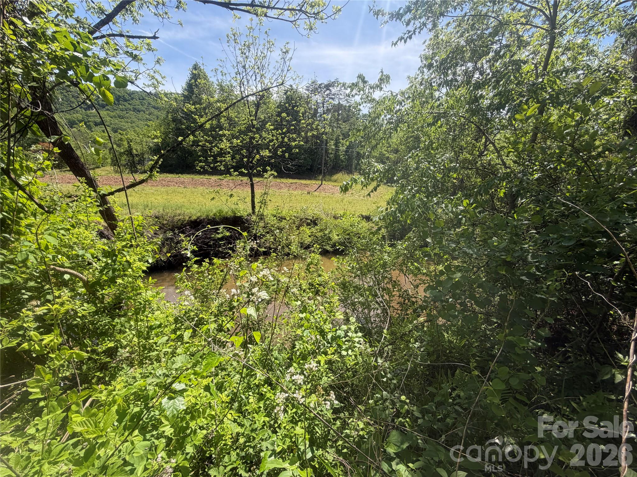 1411 Cedar Creek Road Lake Lure NC 28746