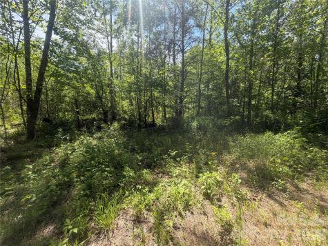 1411 Cedar Creek Road Lake Lure NC 28746