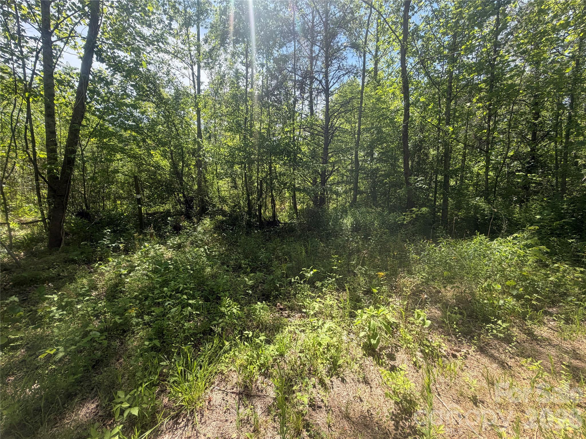1411 Cedar Creek Road Lake Lure NC 28746