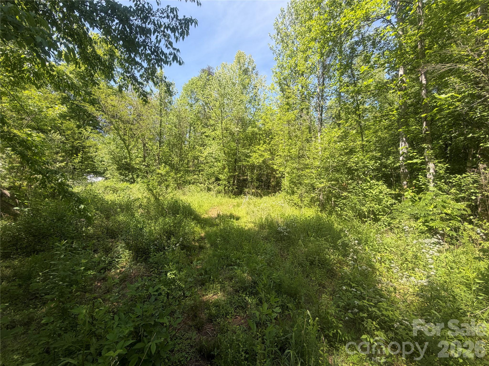 1411 Cedar Creek Road Lake Lure NC 28746