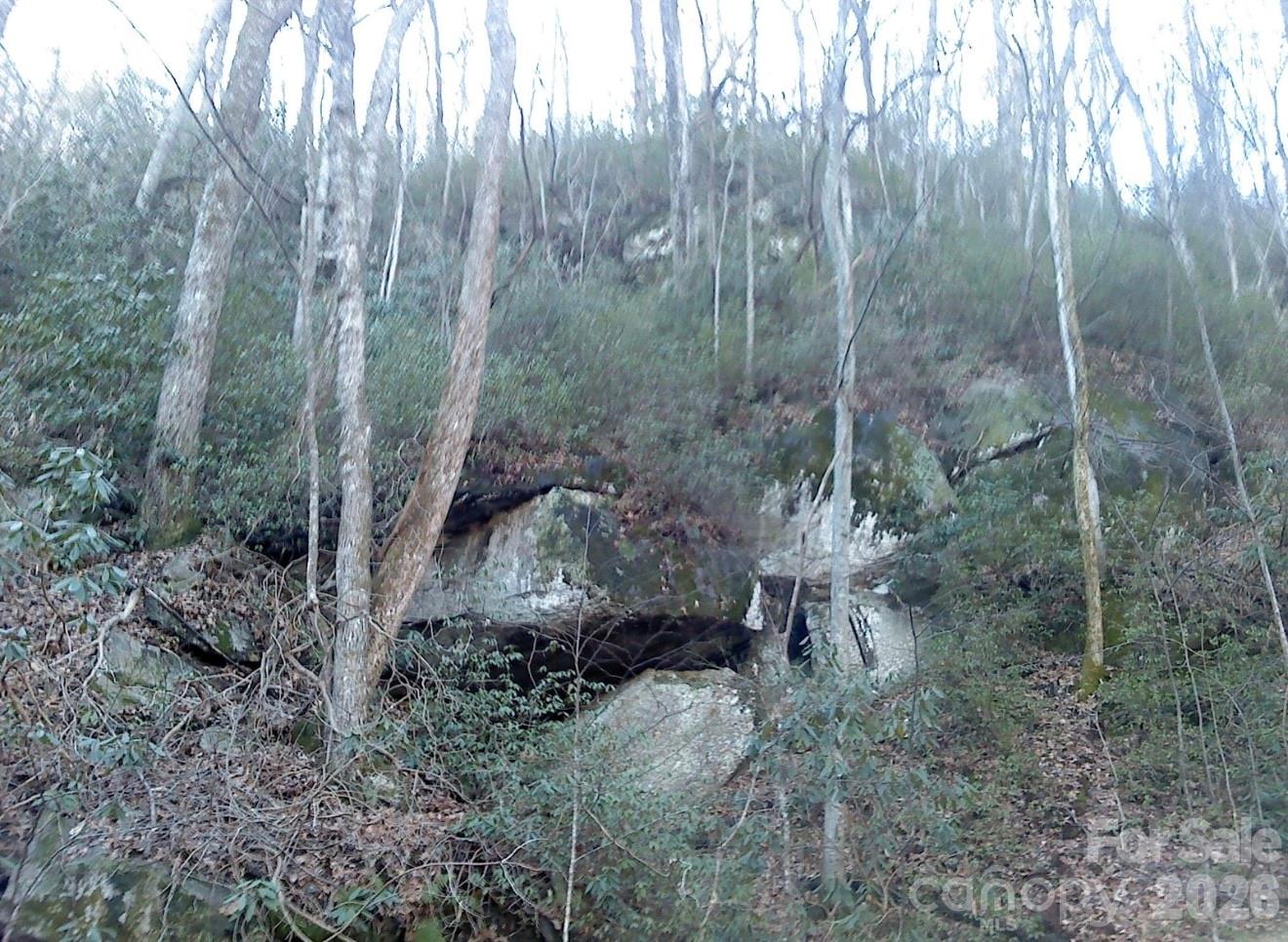1411 Cedar Creek Road Lake Lure NC 28746