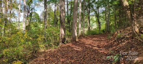 43 Dodder Lane Cullowhee NC 28723