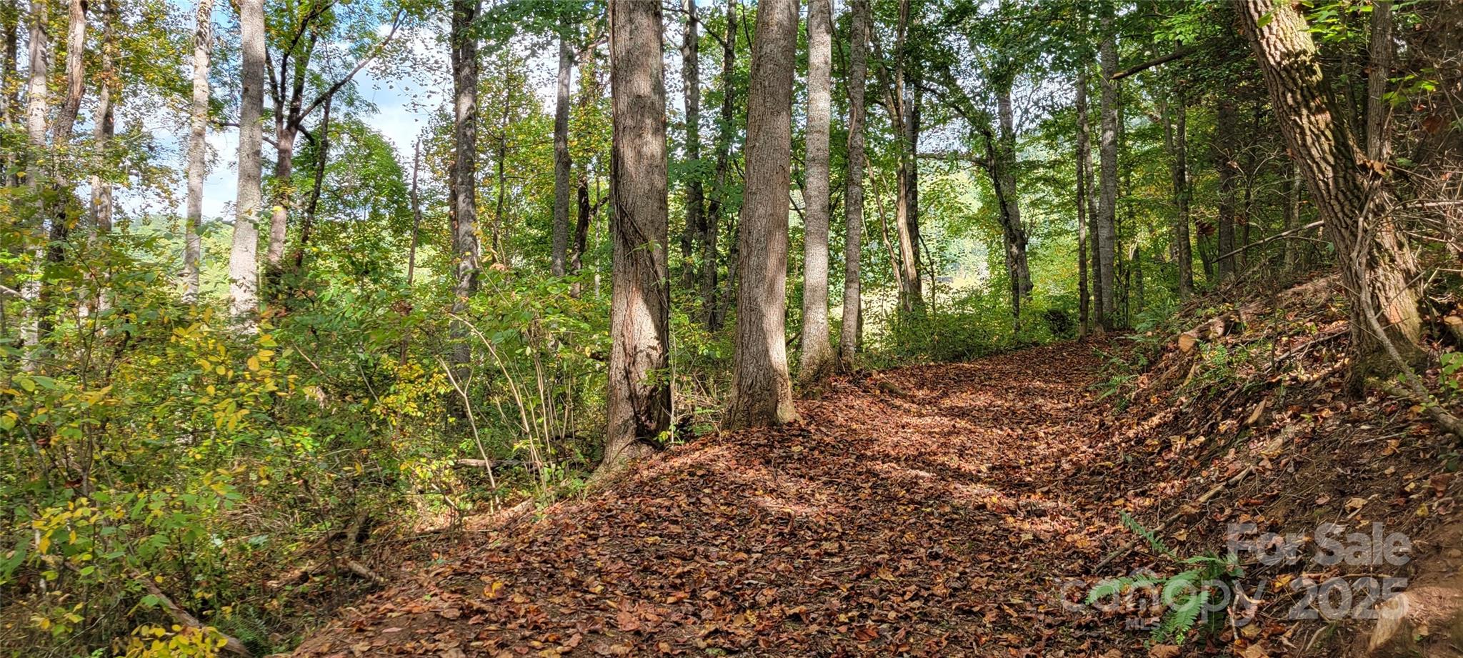 43 Dodder Lane Cullowhee NC 28723
