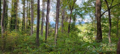 43 Dodder Lane Cullowhee NC 28723