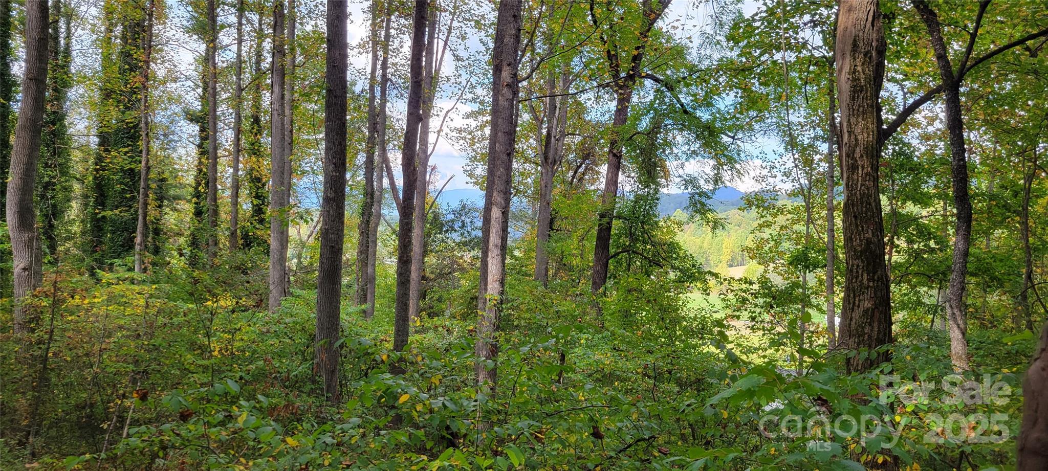 43 Dodder Lane Cullowhee NC 28723