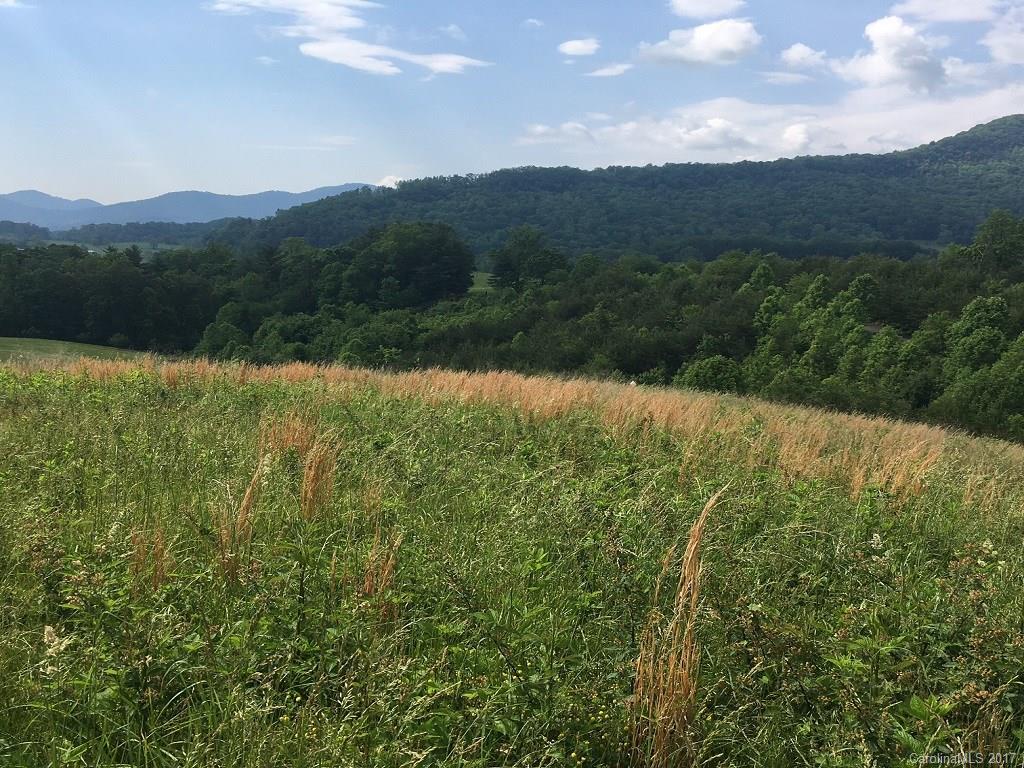 505 Sky Ridge Drive Leicester NC 28748
