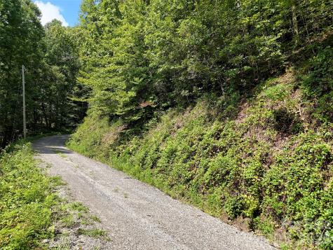 Lot 2 Little Bit Trail Whittier NC 28789