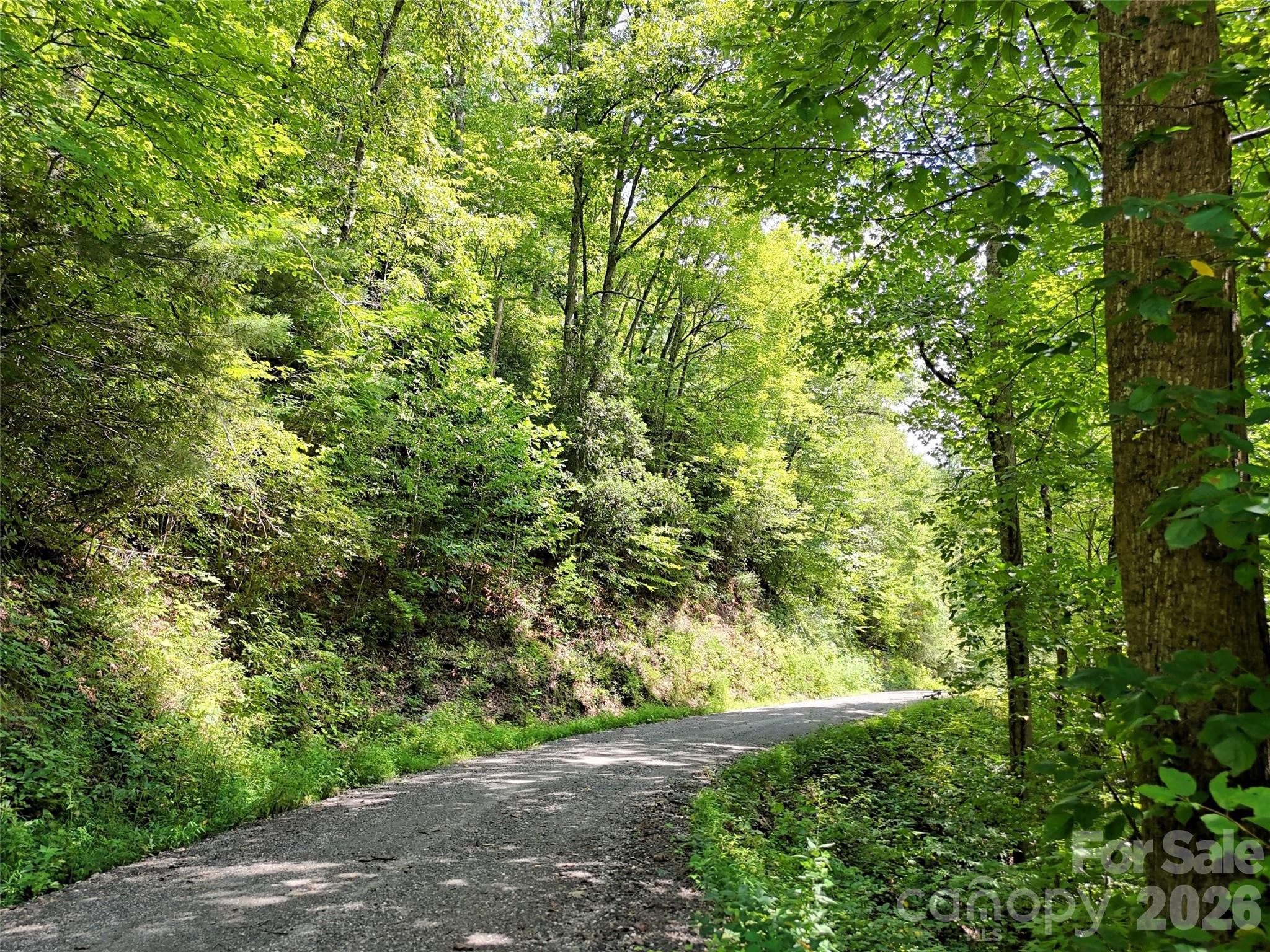 Lot 2 Little Bit Trail Whittier NC 28789