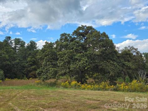 000 Cook Lane Mills River NC 28759
