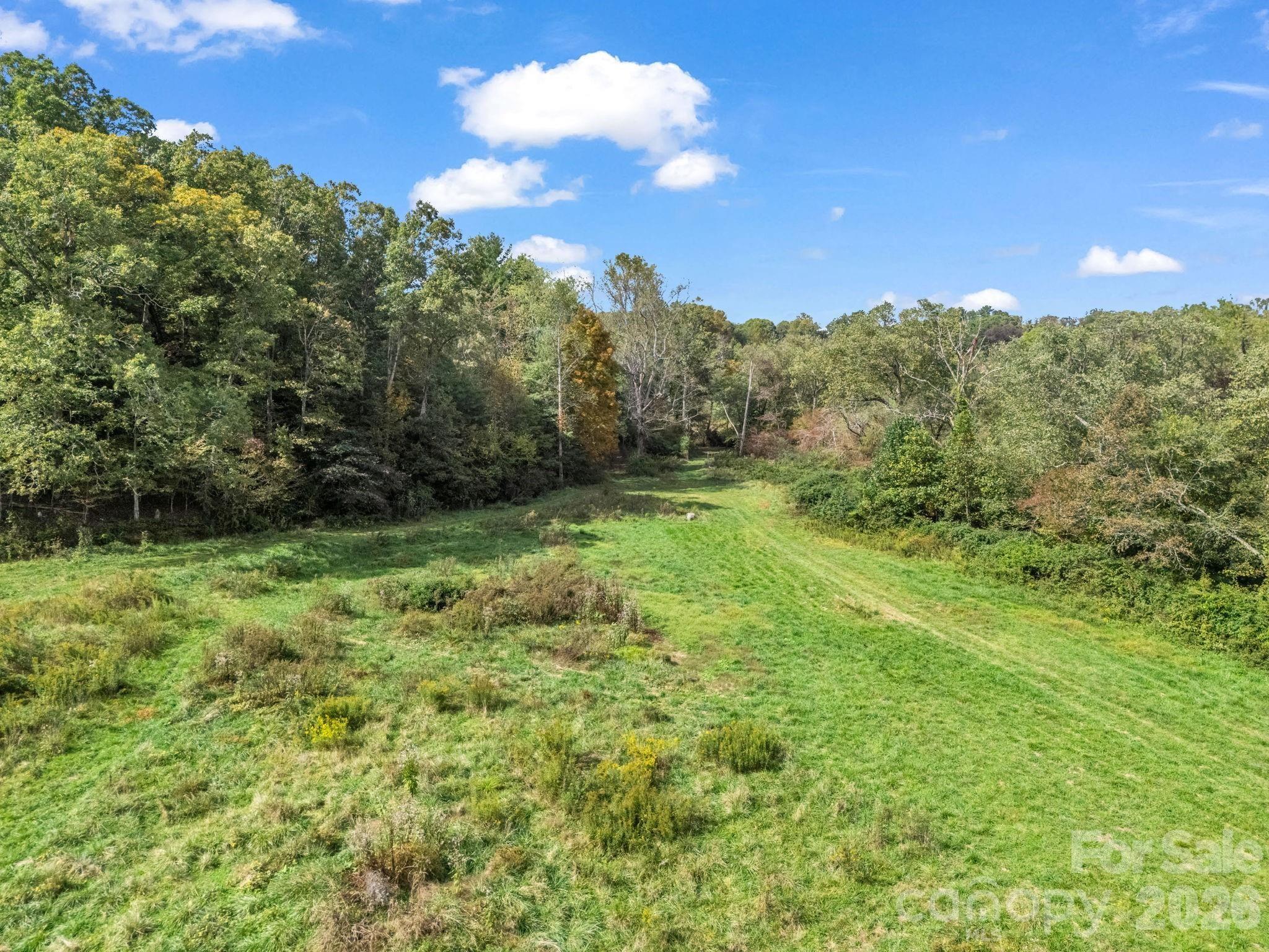 000 Cook Lane Mills River NC 28759