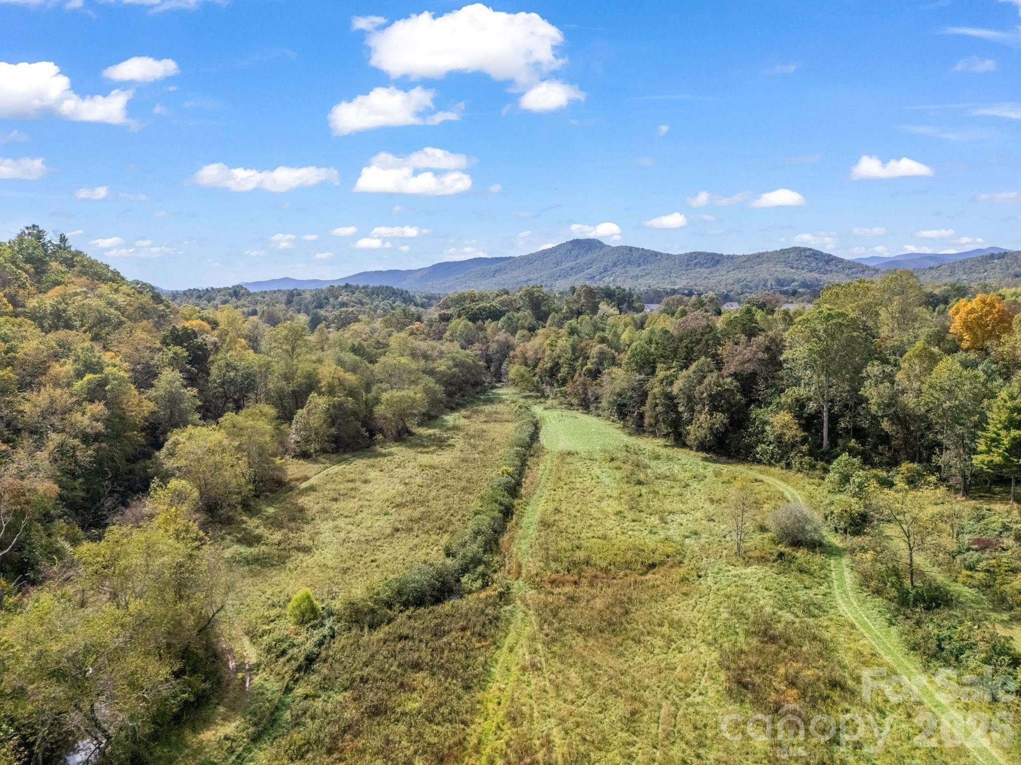 000 Cook Lane Mills River NC 28759