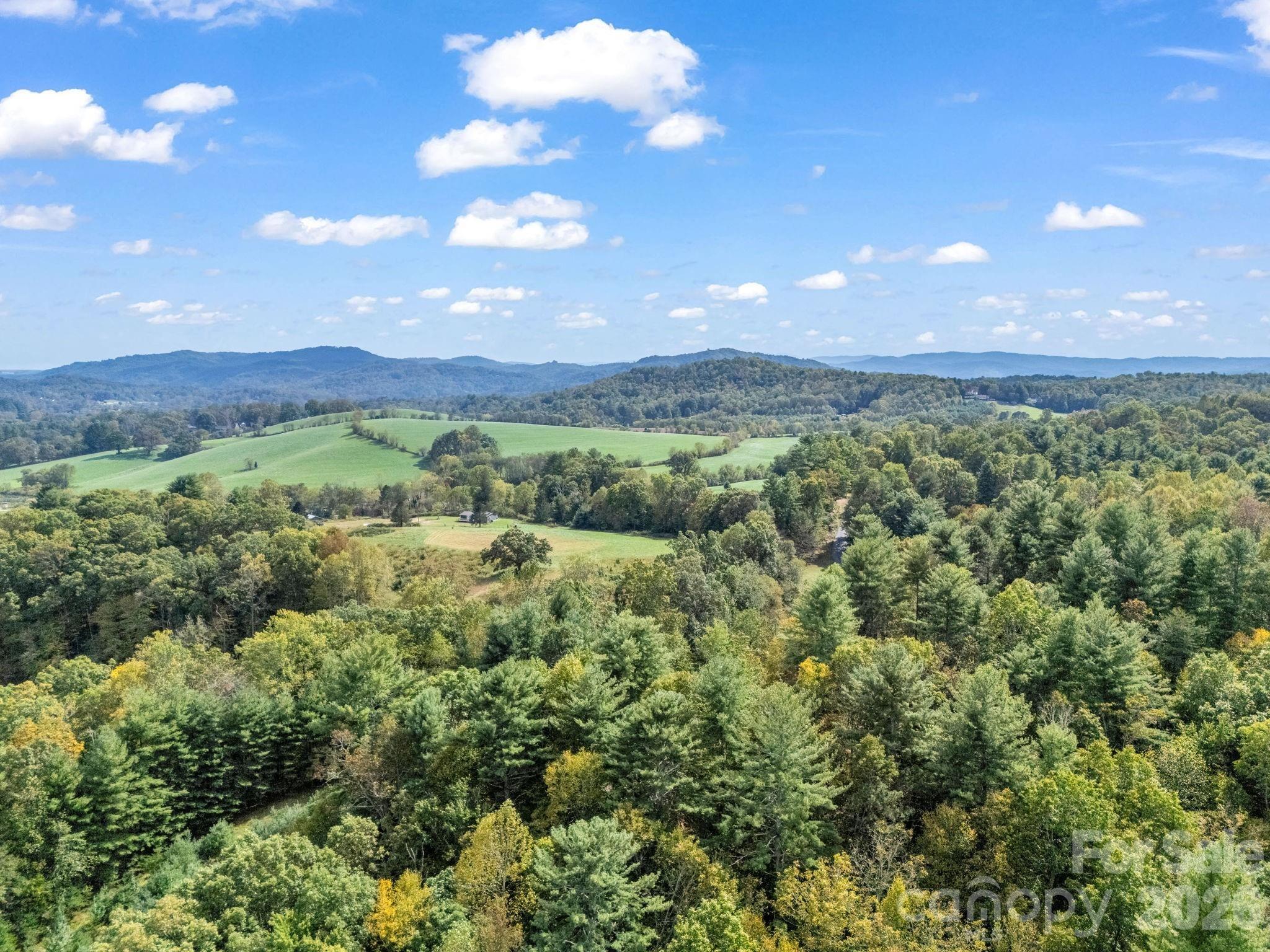 000 Cook Lane Mills River NC 28759