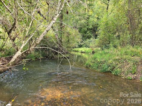 000 Cook Lane Mills River NC 28759