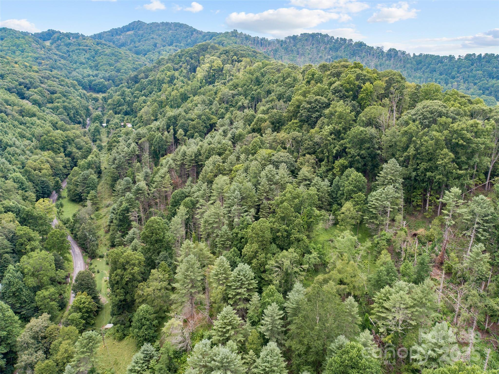 0000 Bee Log Road Burnsville NC 28714