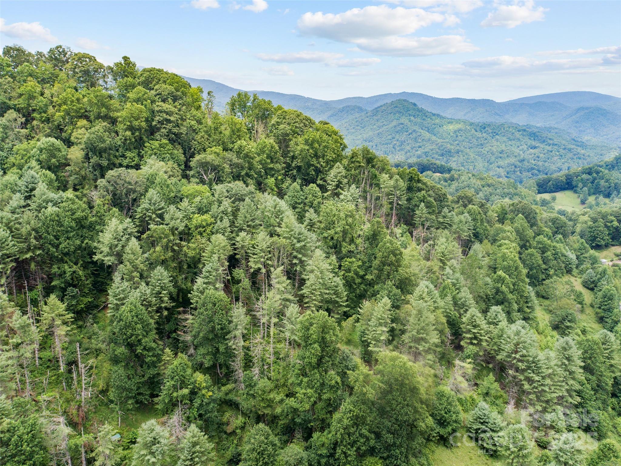 0000 Bee Log Road Burnsville NC 28714