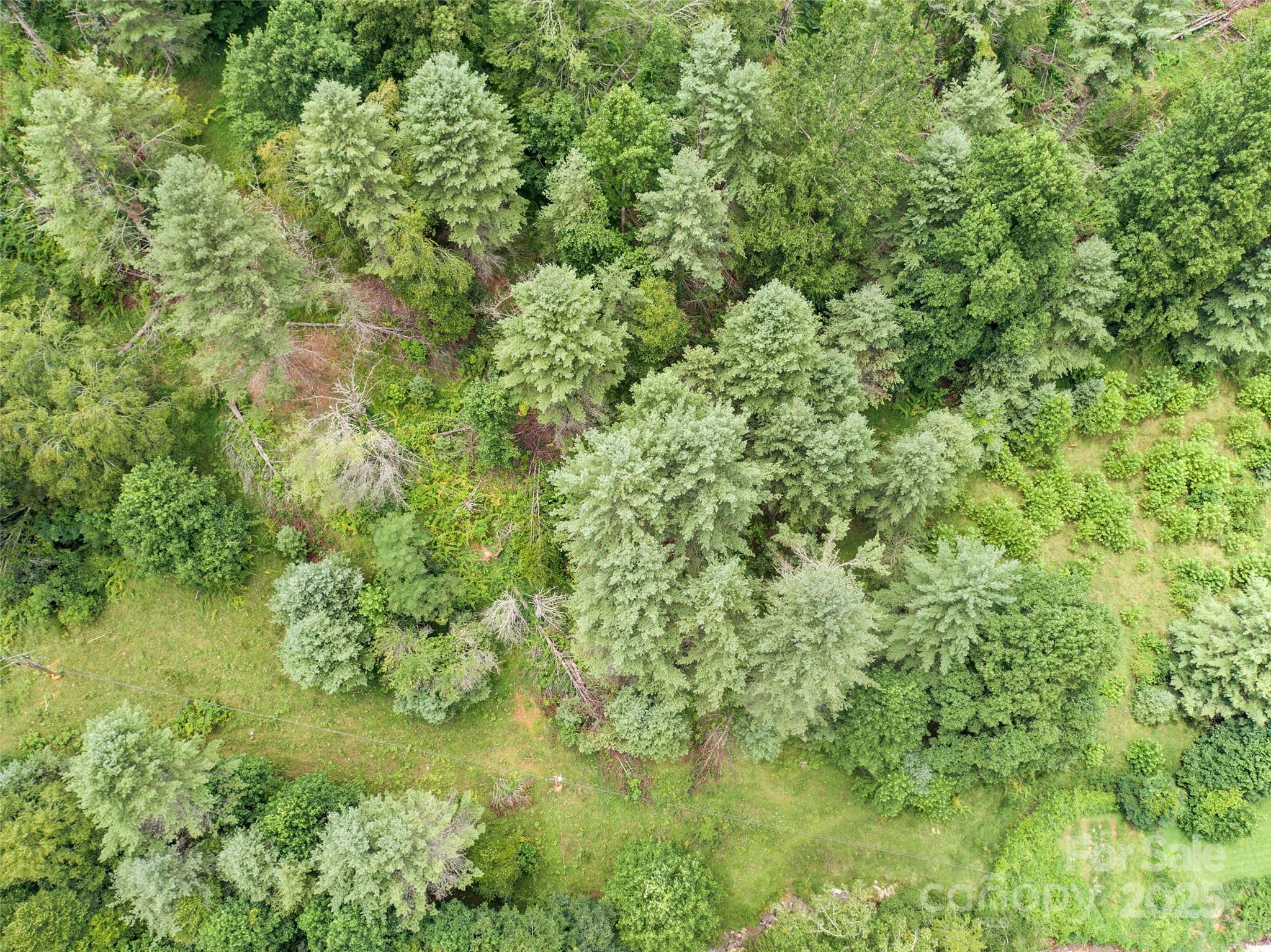 0000 Bee Log Road Burnsville NC 28714