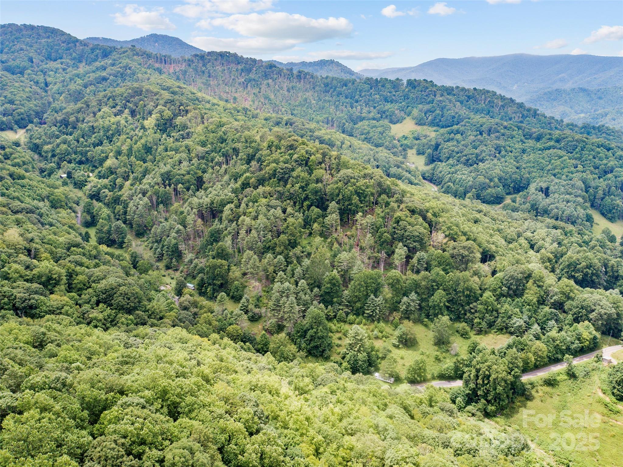 0000 Bee Log Road Burnsville NC 28714