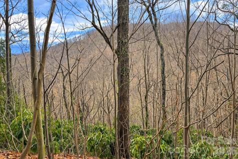 11 Majestic Overlook Way Candler NC 28715