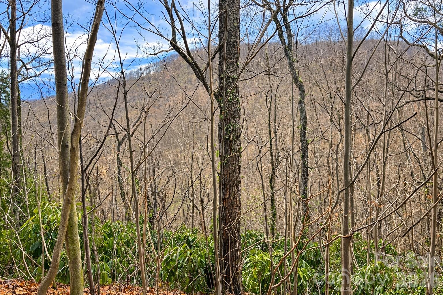 11 Majestic Overlook Way Candler NC 28715
