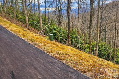 11 Majestic Overlook Way Candler NC 28715
