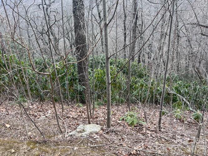 11 Majestic Overlook Way Candler NC 28715