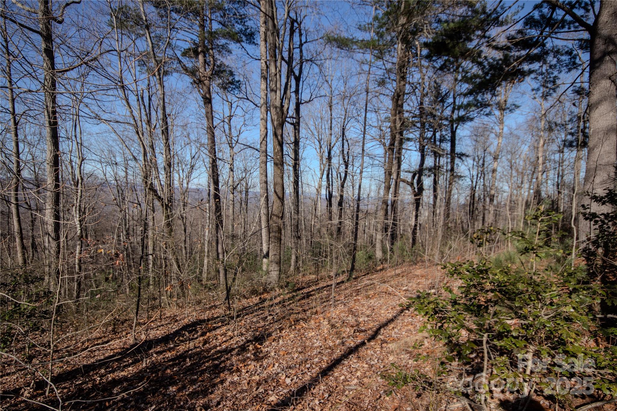 2220 Nighthawk Ridge Court Lenoir NC 28645