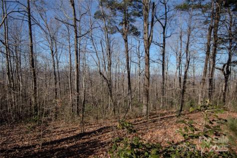 2220 Nighthawk Ridge Court Lenoir NC 28645