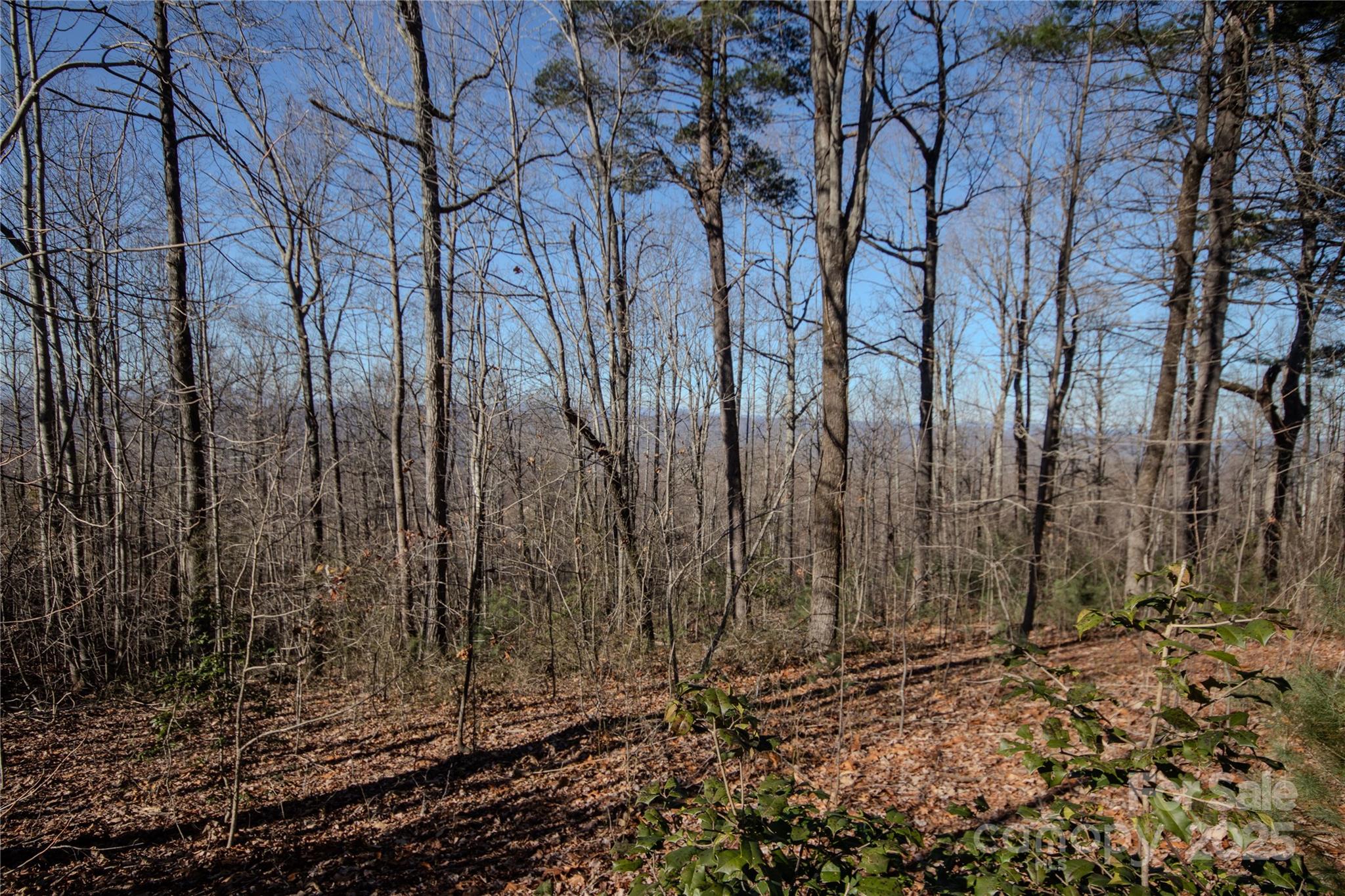 2220 Nighthawk Ridge Court Lenoir NC 28645