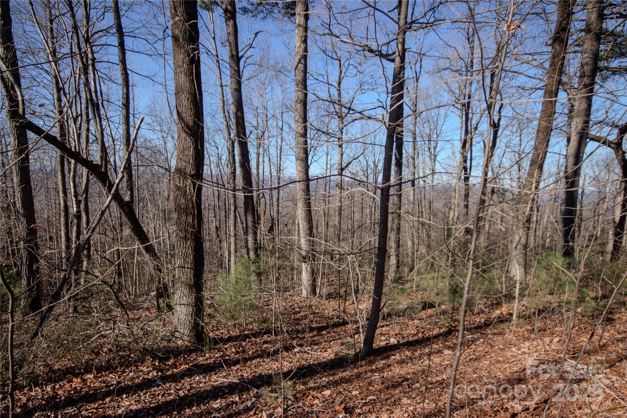 2220 Nighthawk Ridge Court Lenoir NC 28645