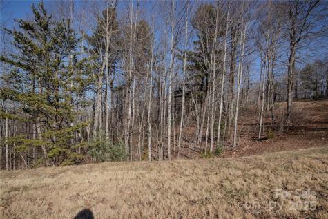 2220 Nighthawk Ridge Court Lenoir NC 28645