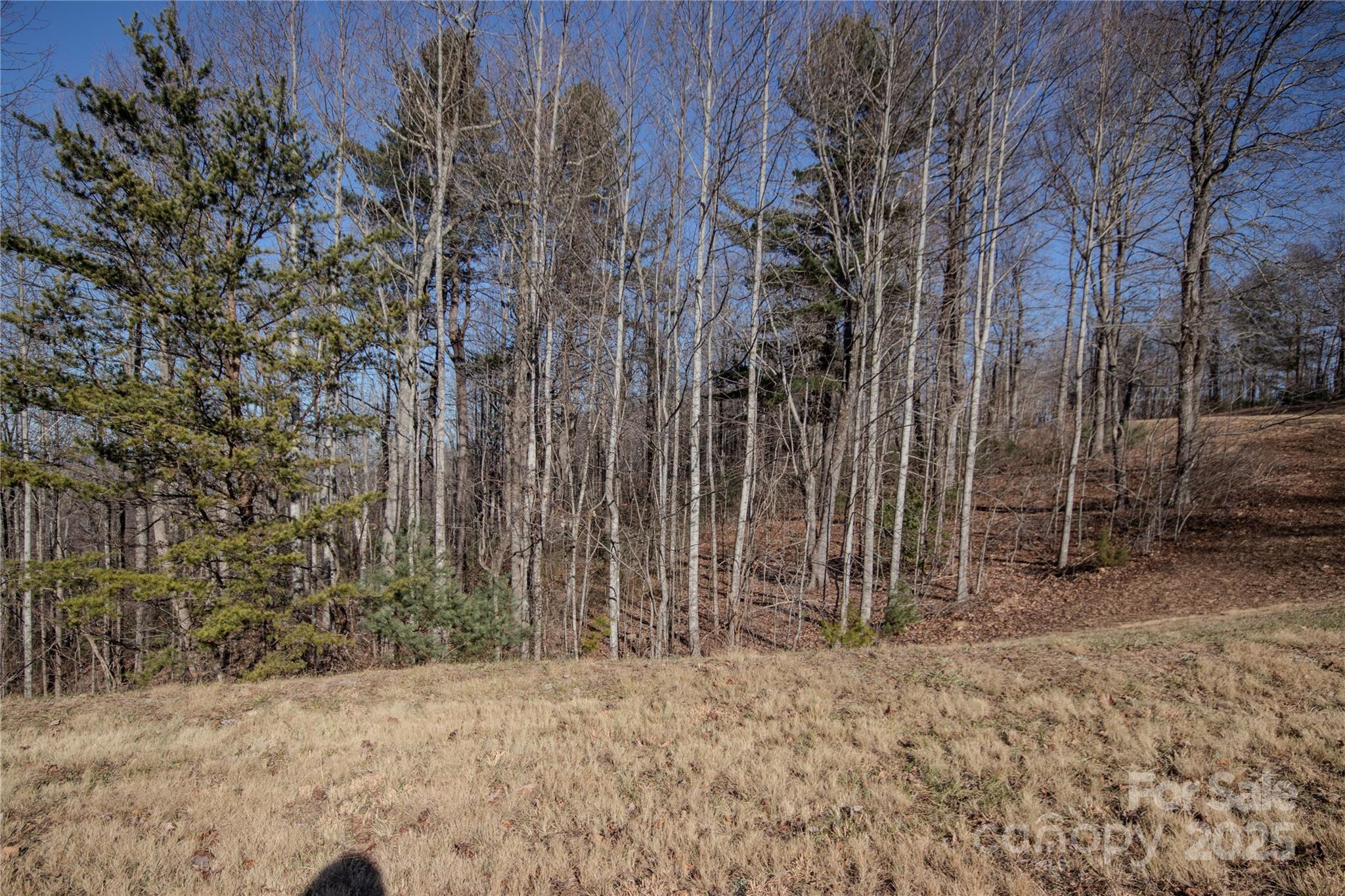 2220 Nighthawk Ridge Court Lenoir NC 28645