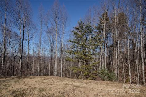 2220 Nighthawk Ridge Court Lenoir NC 28645