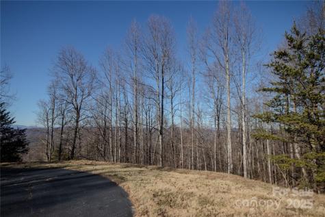 2220 Nighthawk Ridge Court Lenoir NC 28645